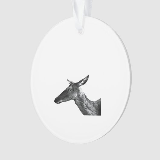 Oh Deer Modern Aesthetic Vibe Acrylic Ornament (devant)