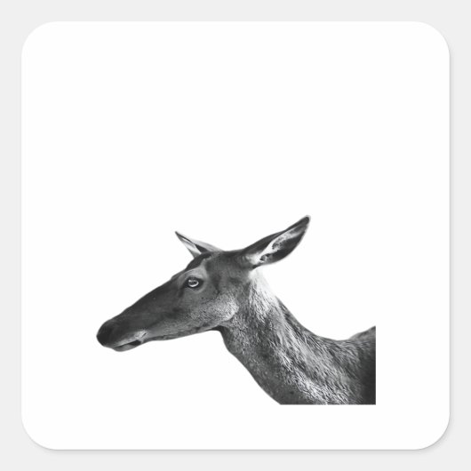 Oh Deer Modern Aesthetic Vibe Vierkante Sticker (Voorkant)