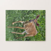 Oh Deer Puzzel (Horizontaal)