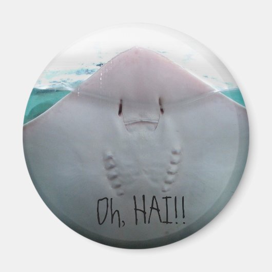 Oh, HAI ! Aimant (Devant)