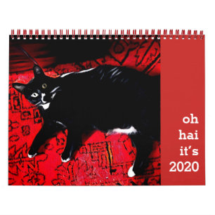 Oh Hai Cat Calendar Kalender