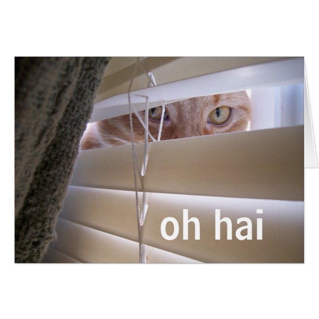 Oh Hai — Chat dans la fenêtre (Devant horizontal)