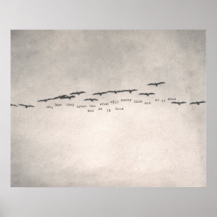 "oh, hoe ze vertrouwen" poster