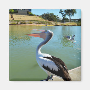 Oh ik ben een Happy Pelican Tra Lah, Fridge Magnet Magneet