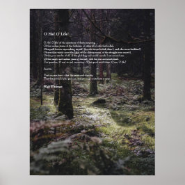 Oh, ik. Oh leven! Walt Whitman Poem Wooded Path 3 Poster