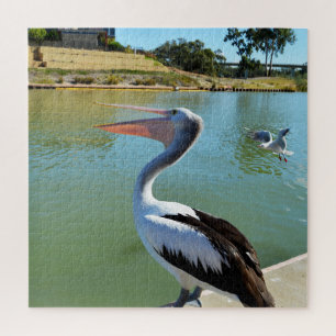 Oh Je Suis Un Joyeux Pelican Tra Lah, puzzle