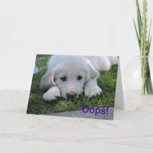 Oh là là !, je suis carte désolée d'excuses (Devant)