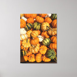 Oh Mijn Gourd Canvas Afdruk