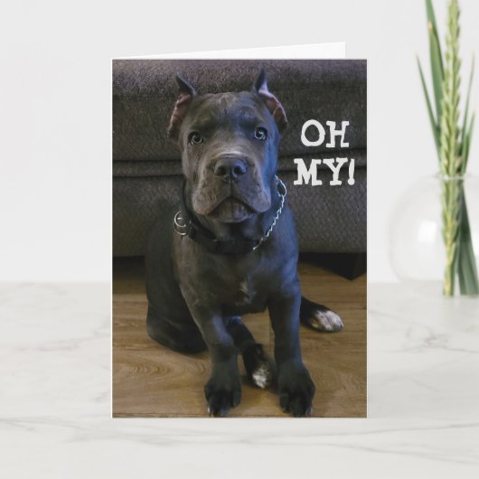 OH MY... JE DRAAIT "60" VERJAARDAG KAART (Voorkant)