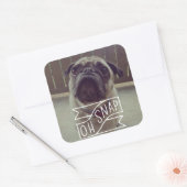 Oh, Snap ! Autocollant (Enveloppe)