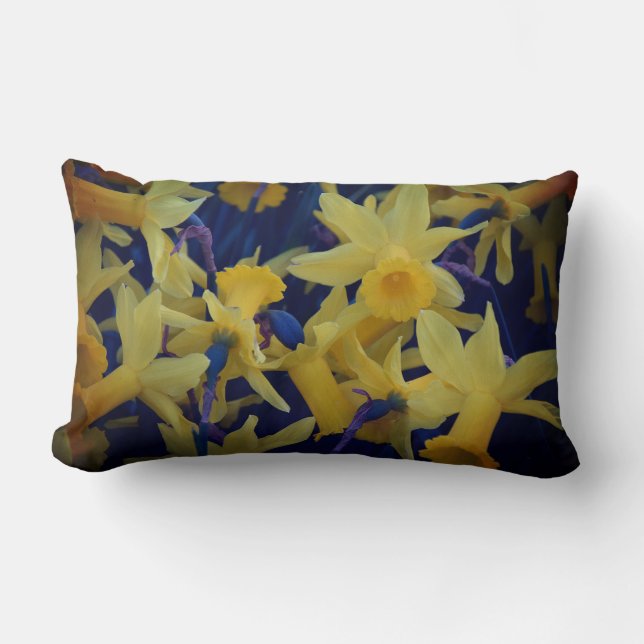 Oh Tant De Daffodiques Accent Lumbar Coussin (Recto)