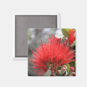 Ohia Lehua blossom Magneet (Voorkant / Achterkant)