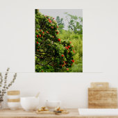 Ohia Lehua Poster (Keuken)