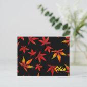 Ohio Automne Feuilles Carte Postale (Debout devant)