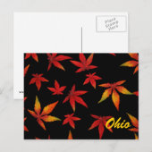 Ohio Automne Feuilles Carte Postale (Devant / Derrière)