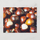 Ohio Buckeyes Briefkaart (Voorkant)