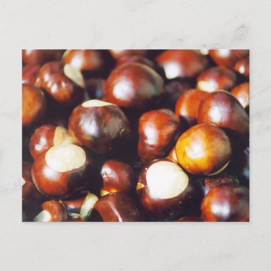 Ohio Buckeyes Briefkaart (Voorkant)