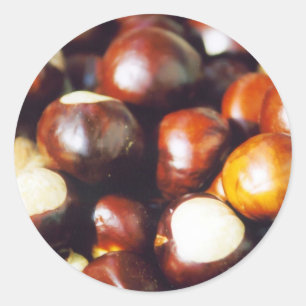 Ohio Buckeyes Ronde Sticker