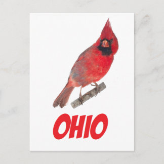 Ohio Cardinaal Briefkaart