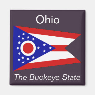 Ohio Flag Magnet Magneet