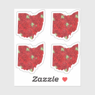 Ohio Flower Sticker