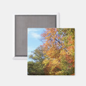 Ohio Herfst #3 Magneet (Voorkant / Achterkant)