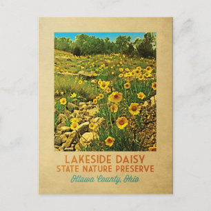 Ohio Lakeside Daisy Preserve Briefkaart