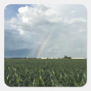 Ohio Rainbow Over Cornfield Vierkante Sticker