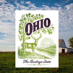 Ohio The Buckeye State Gesticht in 1803 Reis Briefkaart