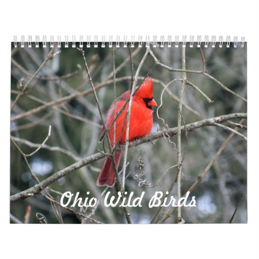 Ohio Wild Birds Kalender (Hoes)