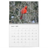 Ohio Wild Birds Kalender (Mar 2027)
