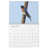 Ohio Wild Birds Kalender (Jan 2027)