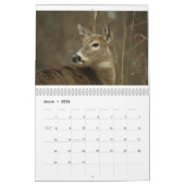 OHIO WILDLIFE CALENDAR-A KALENDER (Mar 2026)