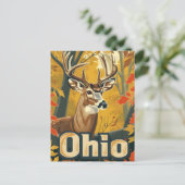 Ohio witstaarthert briefkaart (Staand voorkant)