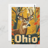 Ohio witstaarthert briefkaart (Voorkant / Achterkant)