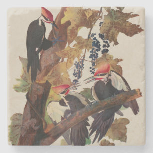 Ohn James Audubon Grote Specht Vogelprent Stenen Onderzetter