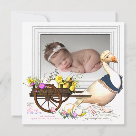 Oie avec le faire-part de naissance de photo (Devant)