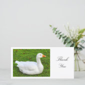 Oie blanche - Merci (Debout devant)