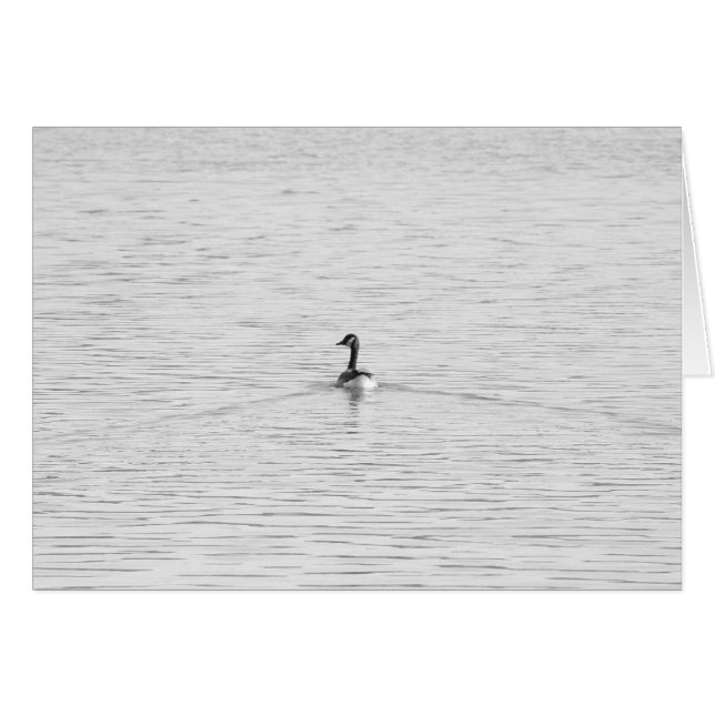 Oie de natation (Devant Horizontal)