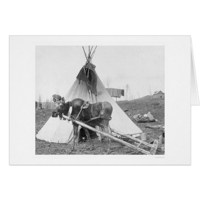 Oie de travail Teepee 1916 (Devant horizontal)