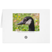 Oie du Canada (Dos Horizontal)