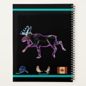 Oie électrique (Dos)