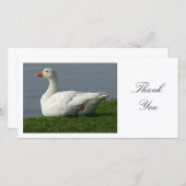 Oie - Merci (Devant / Derrière)