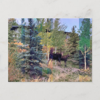 Oie sauvage dans le Wyoming Carte postale