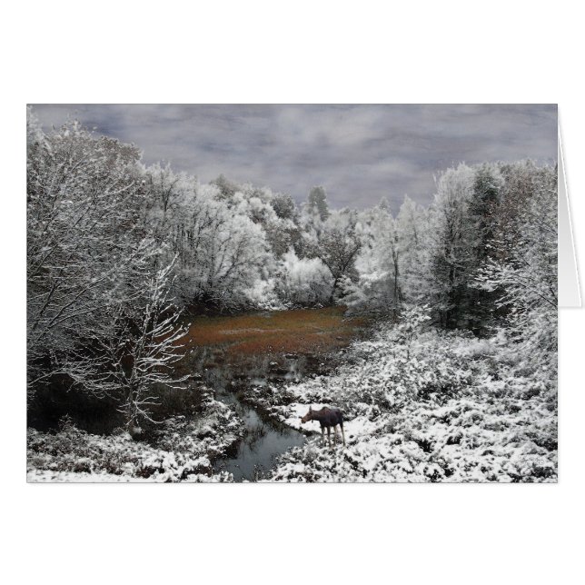 Oie sur Oxyde neigeux (Devant horizontal)