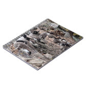 Oies dans le cahier du parc (Côté gauche)