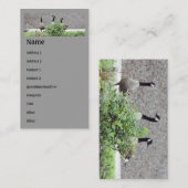 Oies du Canada sauvage Carte de visite animal (Devant / Derrière)