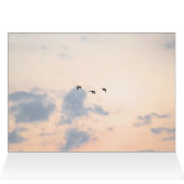Oies et coucher de soleil doux (Intérieur Horizontal (Haut))