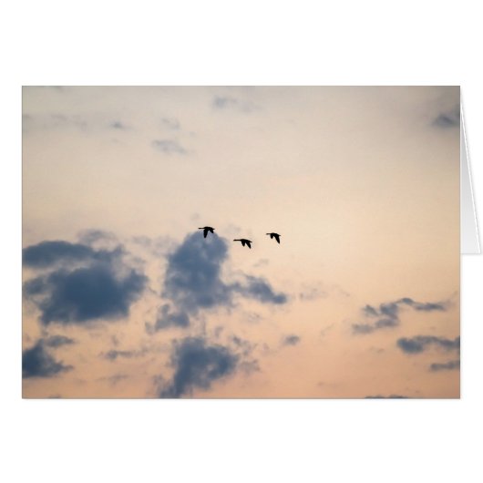 Oies et coucher de soleil doux (Devant horizontal)