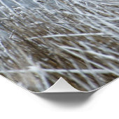 Oies grises volant dans une affiche à neige (Coin)